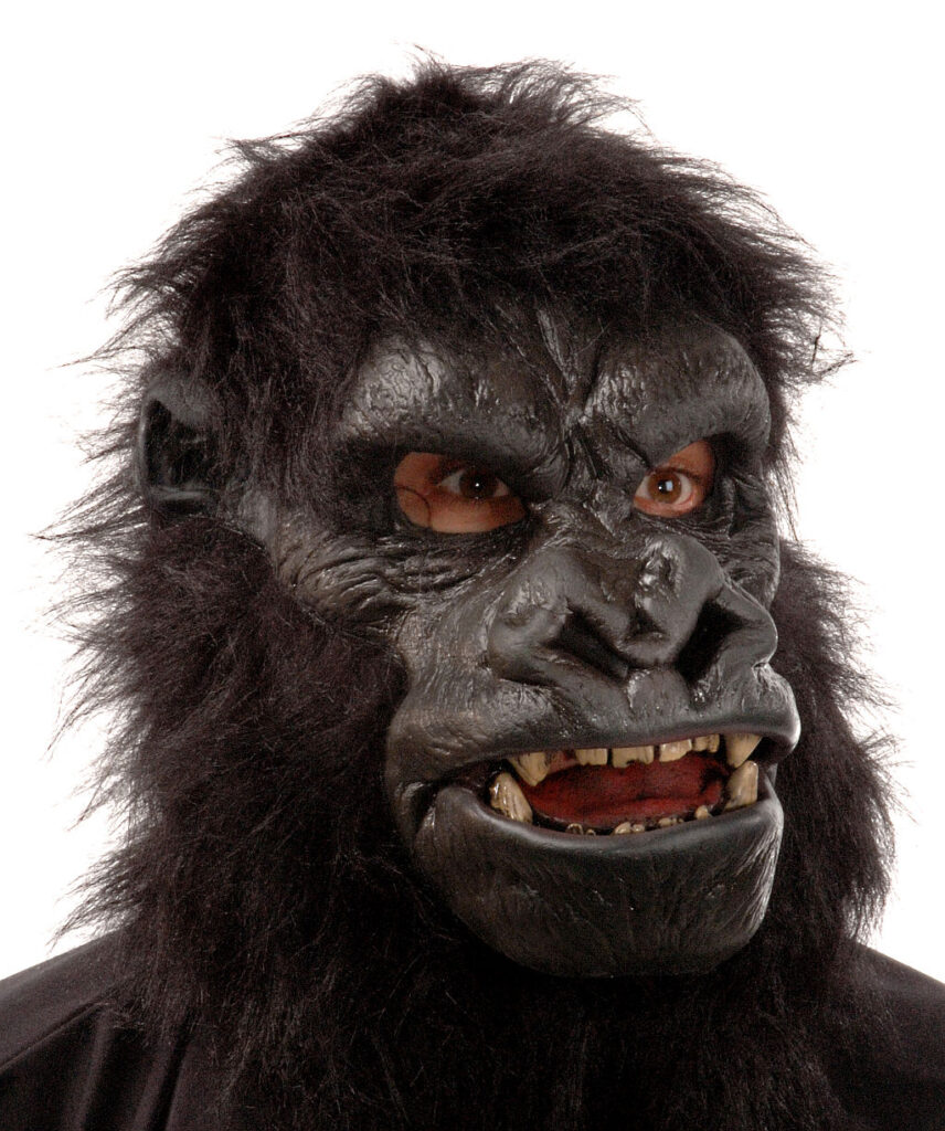 Eine realistische, schwarze Gorilla-Maske aus Latex mit markanten Gesichtszügen und Fell-Details, die im Regal eines Berliner Kostümladens präsentiert wird.